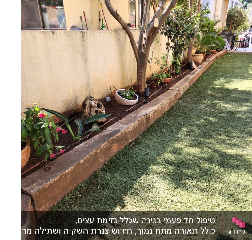 טיפול חד פעמי בגינה שכלל גזימת עצים, כולל תאורה מתח נמוך, חידוש צנרת השקיה ושתילה מחודשת.